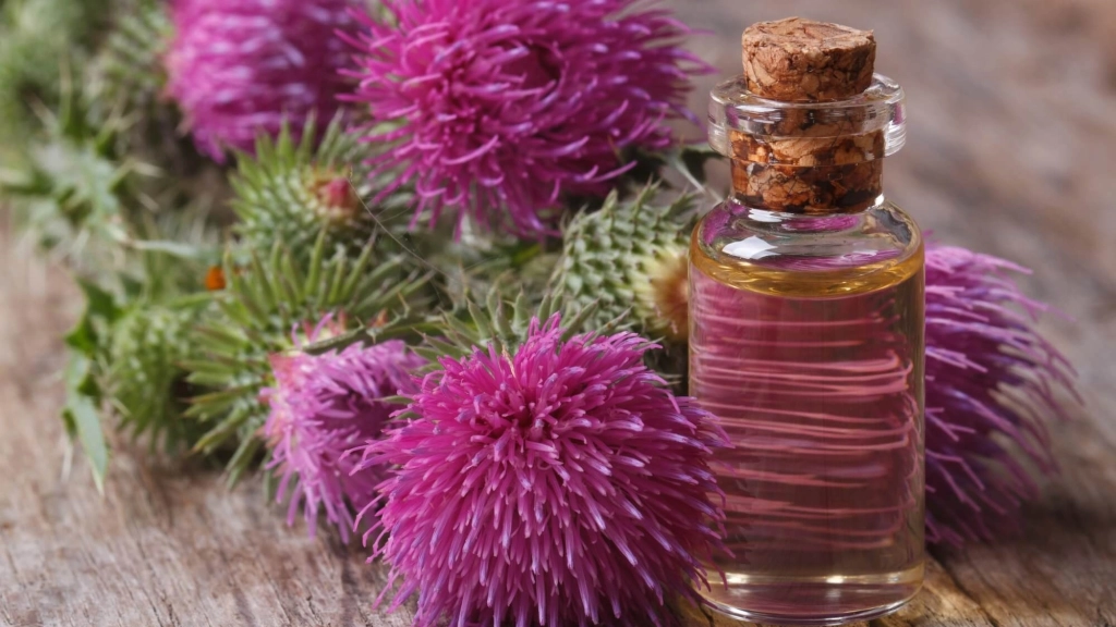 Milk Thistle – Natural Liver Support for Restoring Liver Balance.